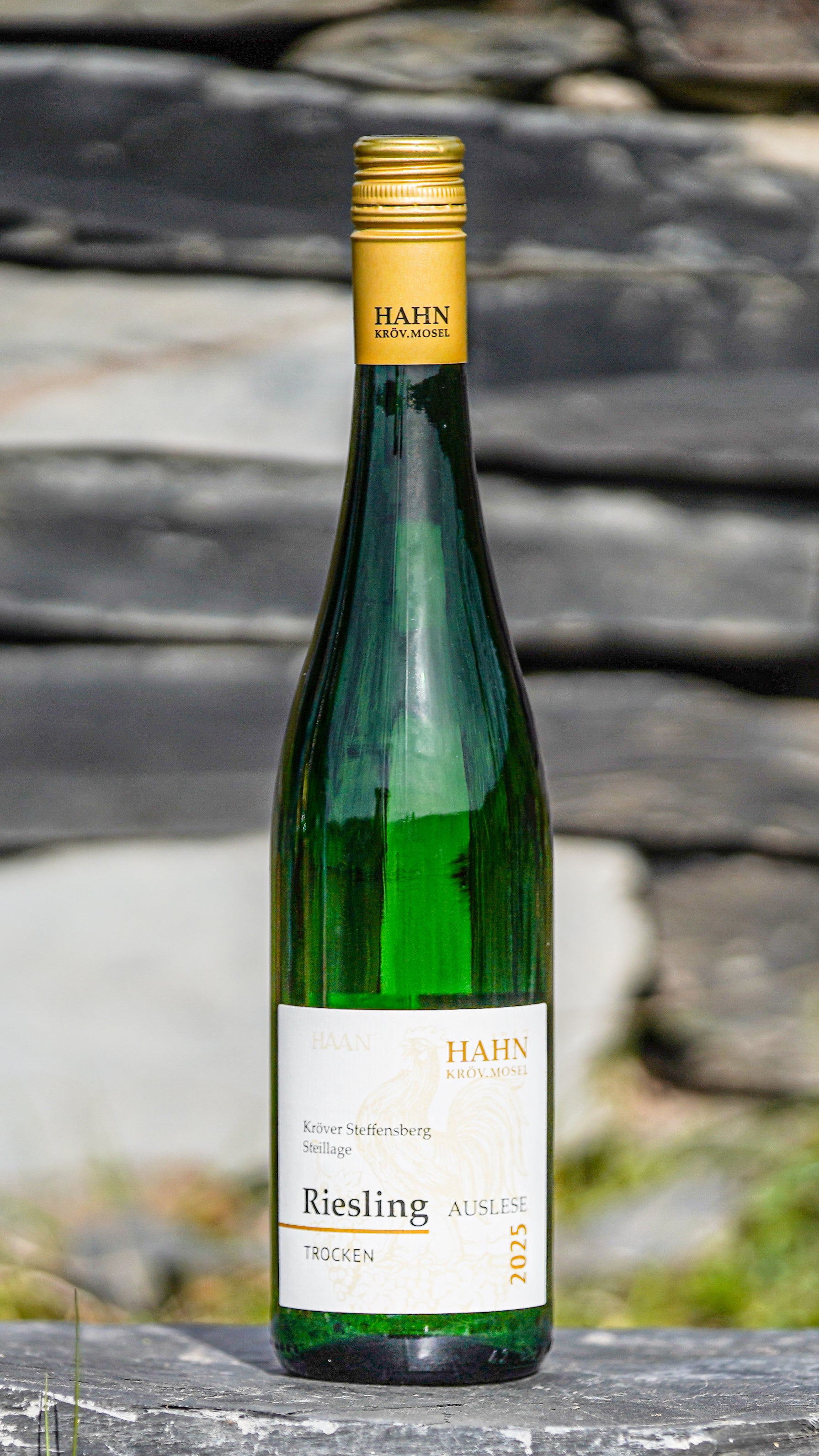 2025 Riesling Steillage Steffensberg trocken