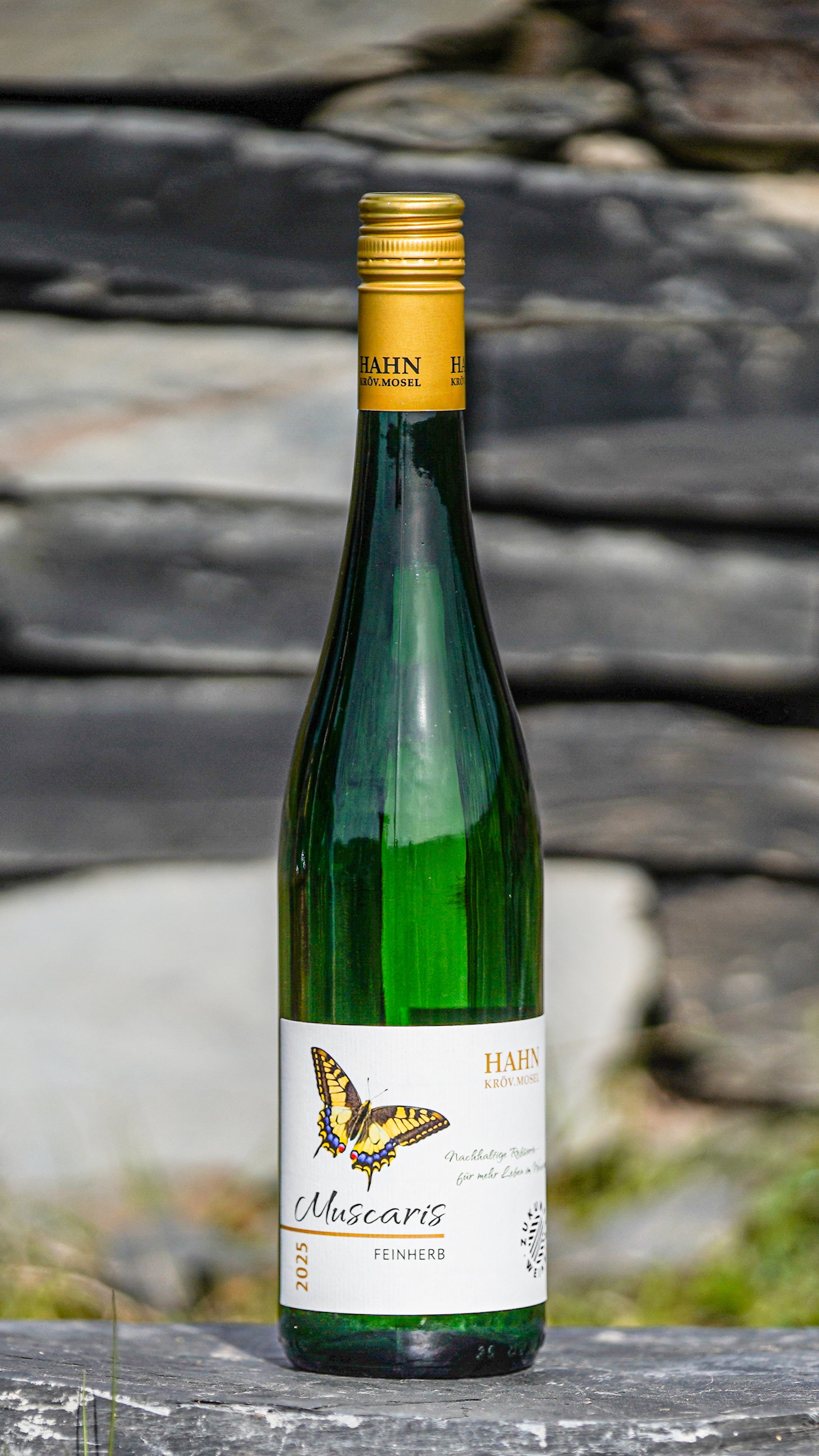 Muscaris feinherb