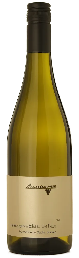 Spätburgunder Blanc de Noir trocken | Wiebelsberger Dachs | 2024