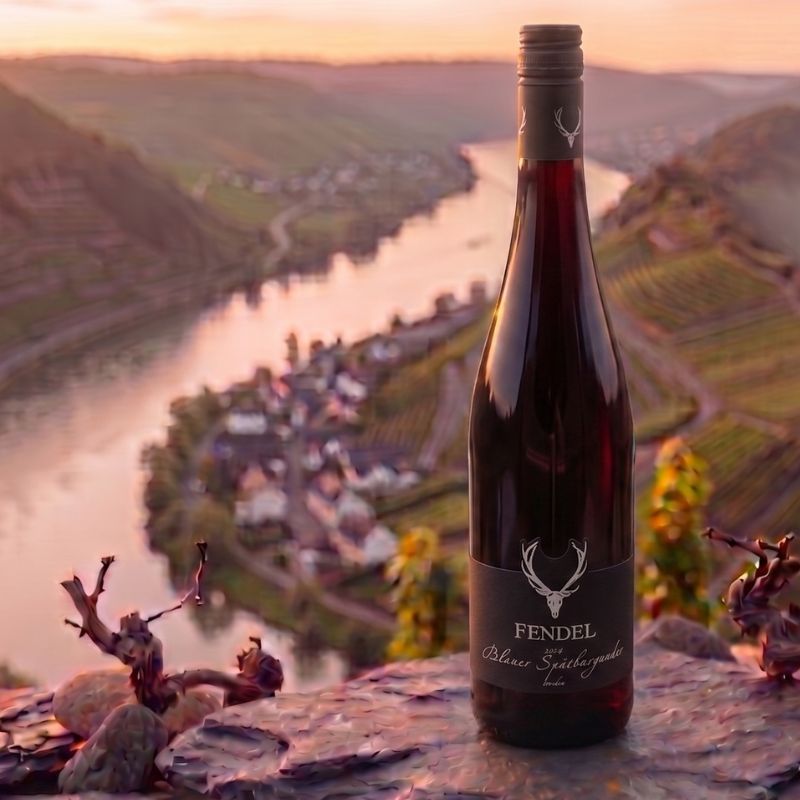 2024er Blauer Spätburgunder Rotwein - trocken