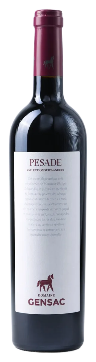 PESADE 2017