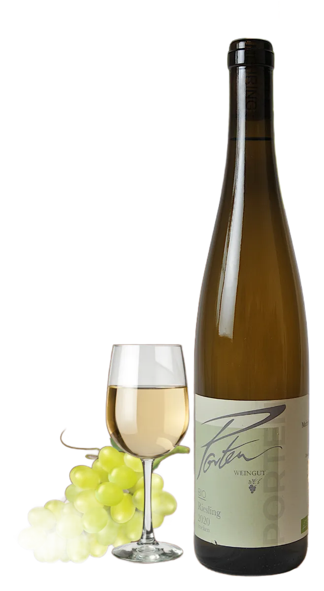 2020 Bio Riesling, trocken