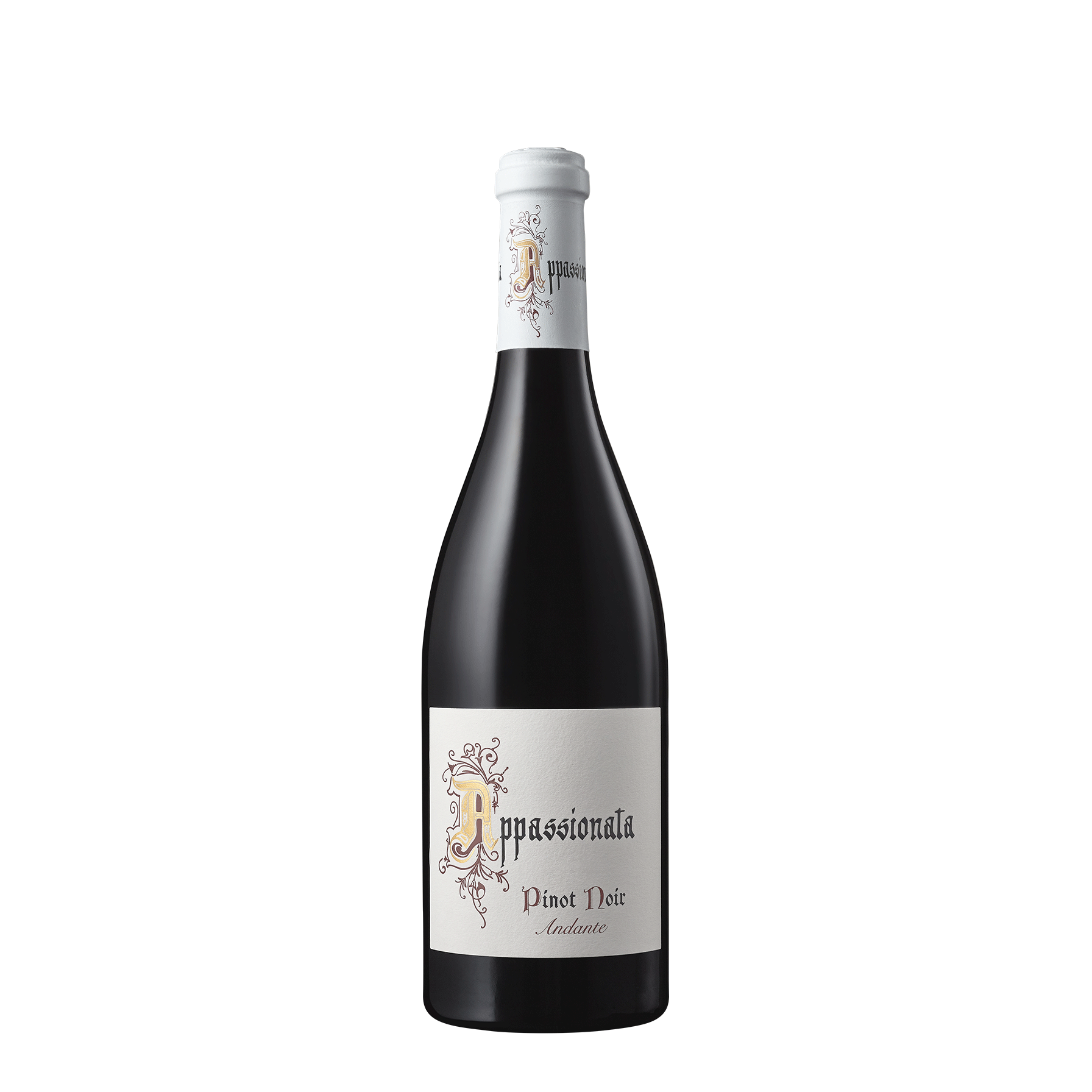 2017 Andante Pinot Noir