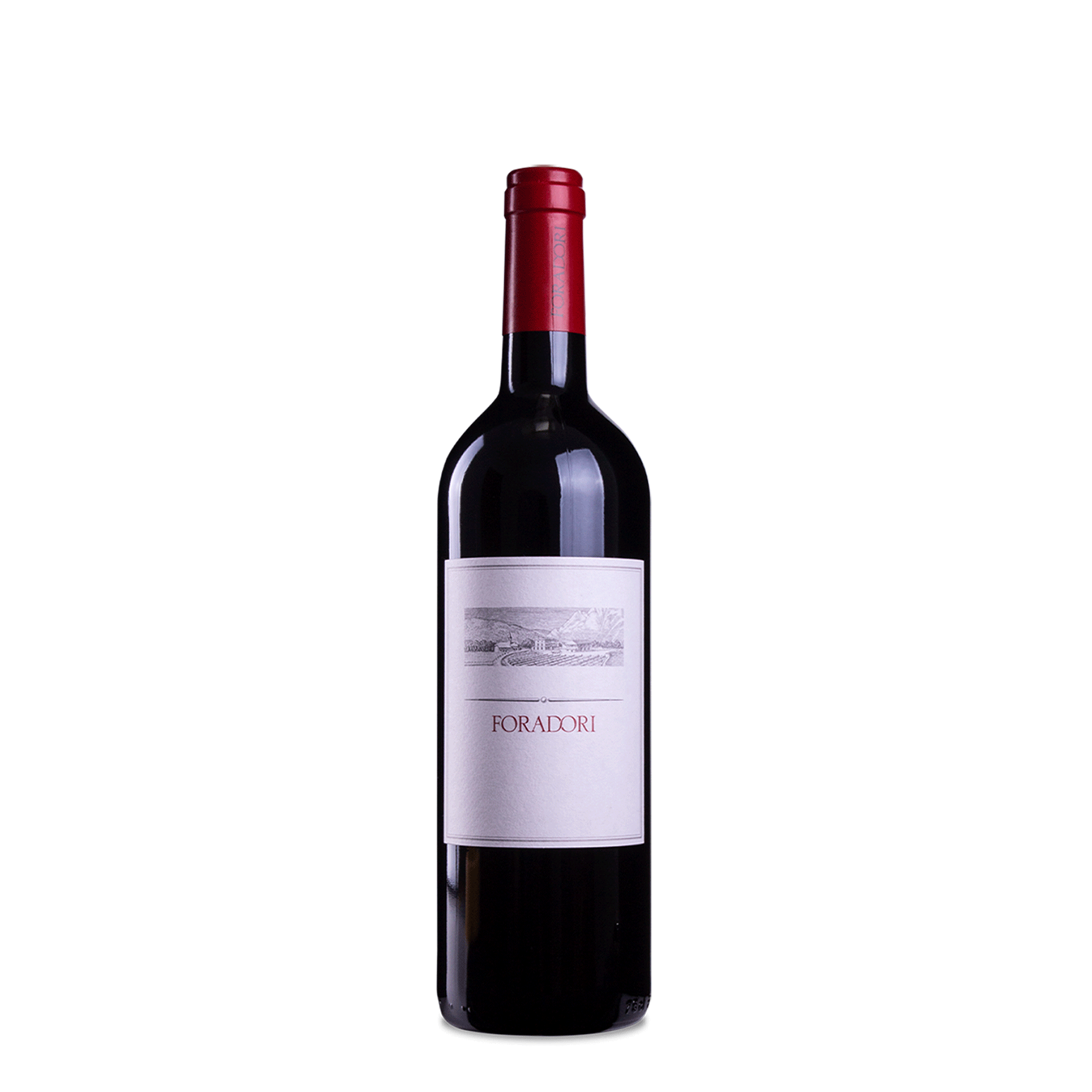 2010 Teroldego Vigneti delle Dolomi IGT