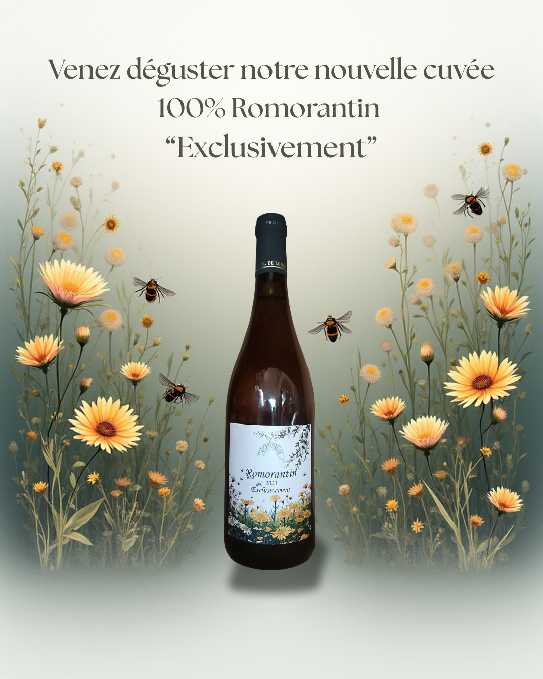 "Exclusivement" Romorantin VSIG