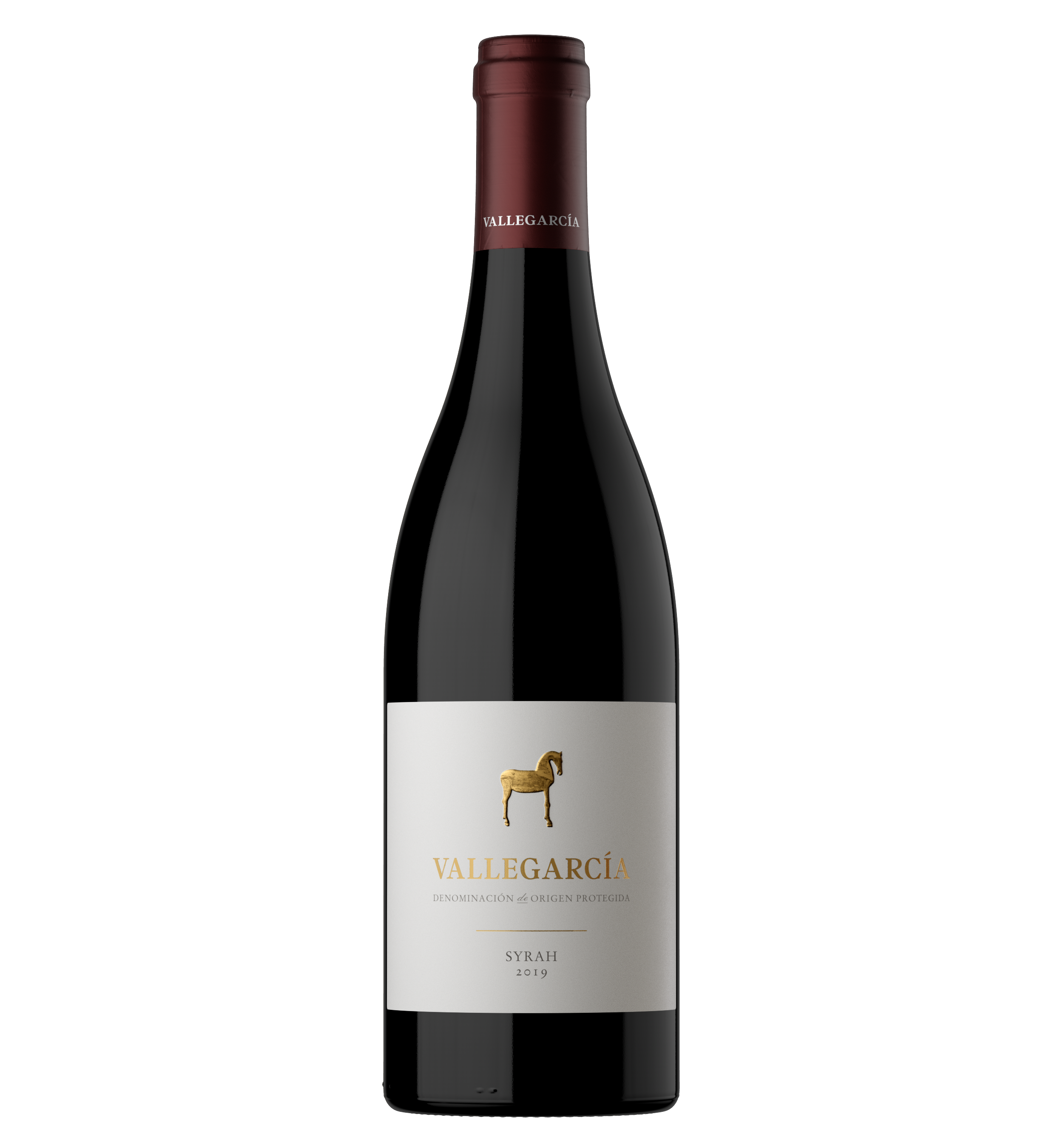 Doble Magnum Vallegarcía Syrah 2022