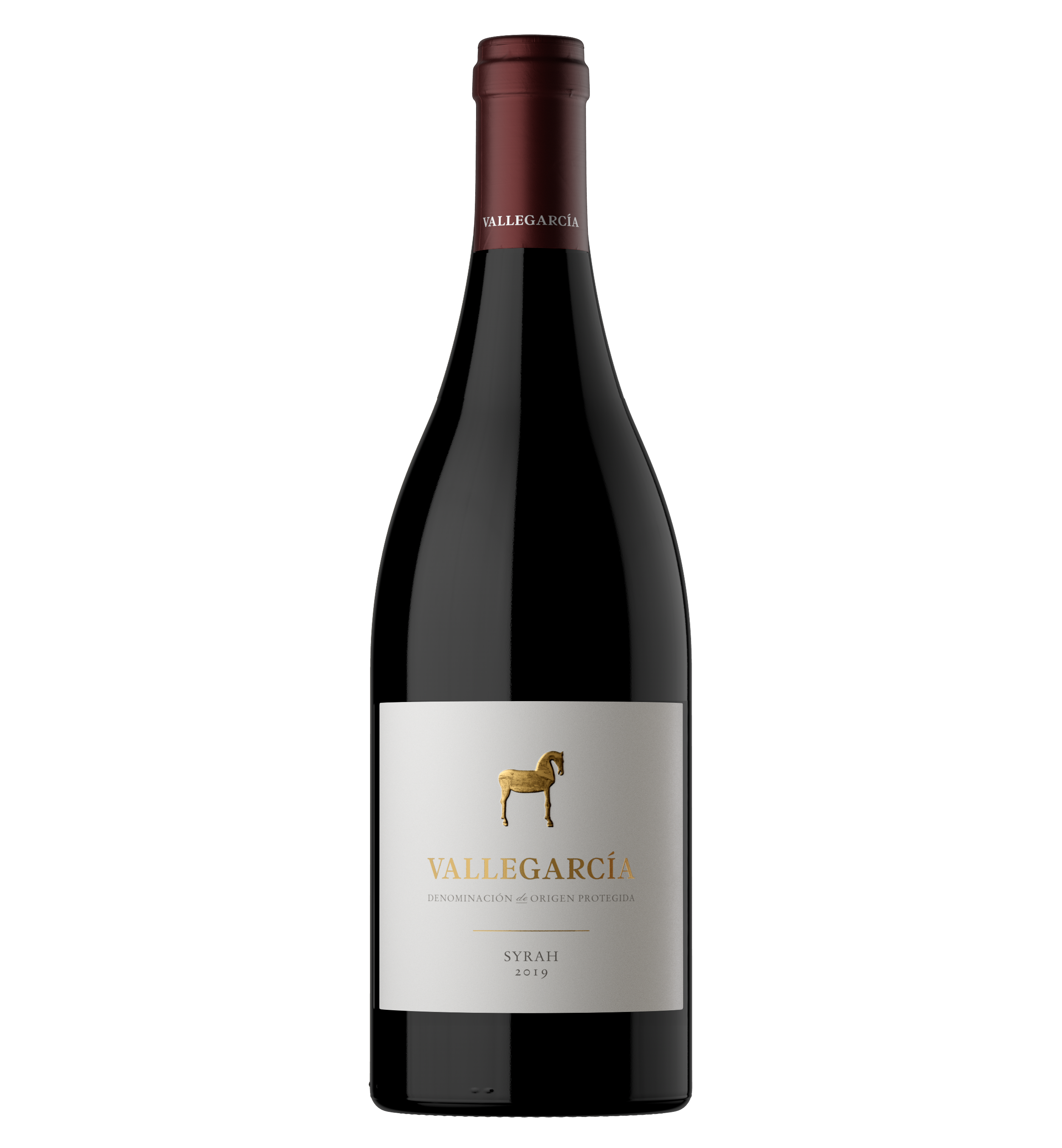 Magnum Vallegarcía Syrah 2022