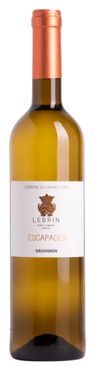 Sauvignon 2025 - Domaine du Grand Logis