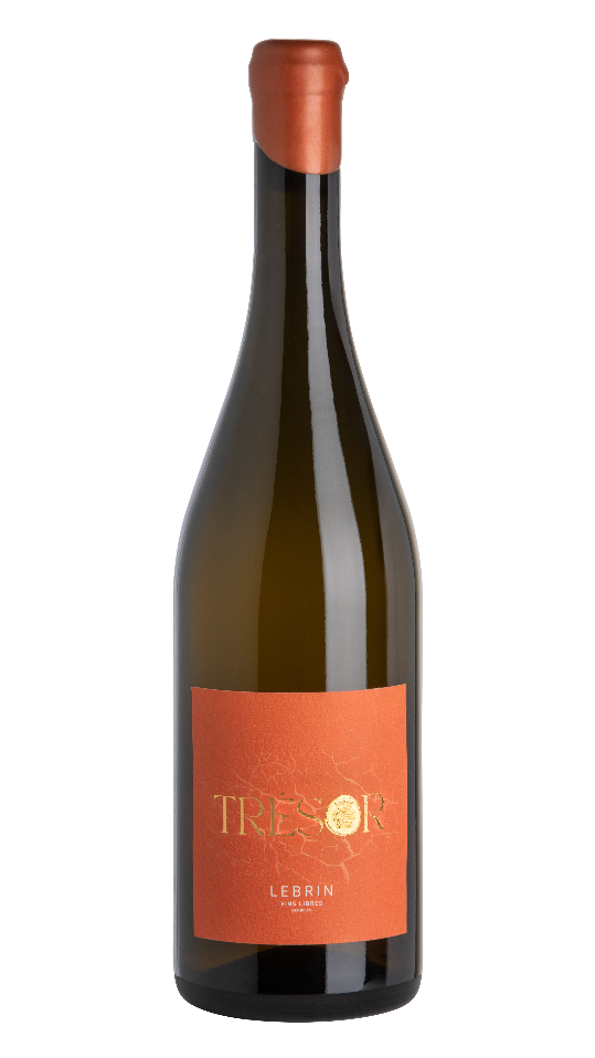 « Trésor » 2019 – Muscadet Élevé en Amphore