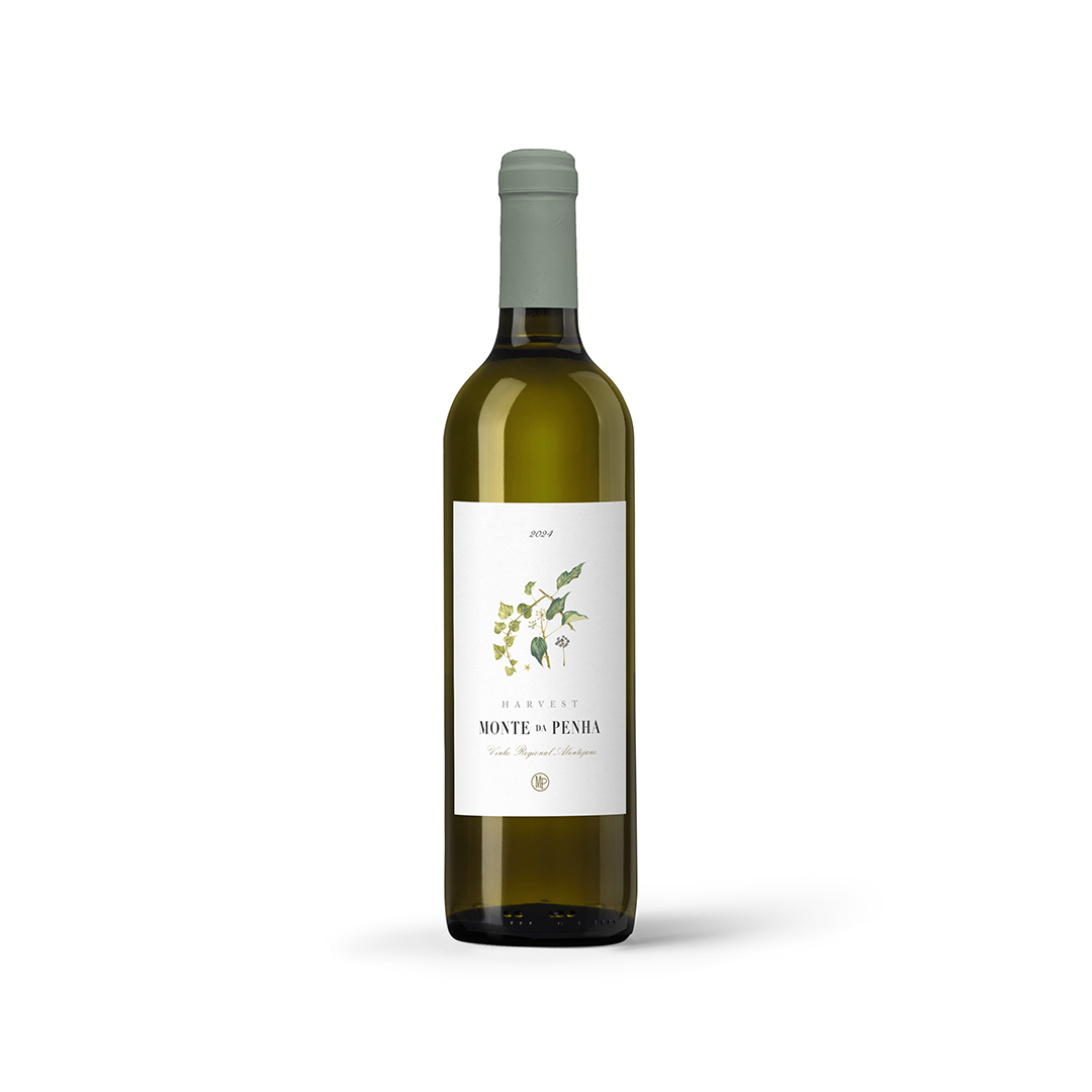 Monte da Penha Harvest Branco 2024