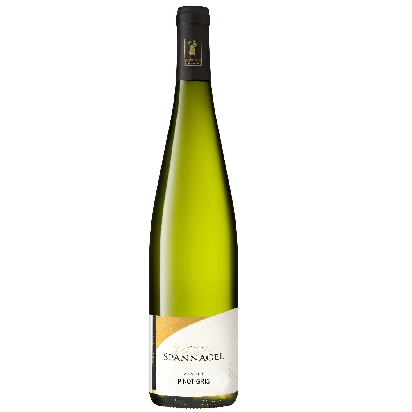 PINOT GRIS 2024 Tradition AOC Alsace