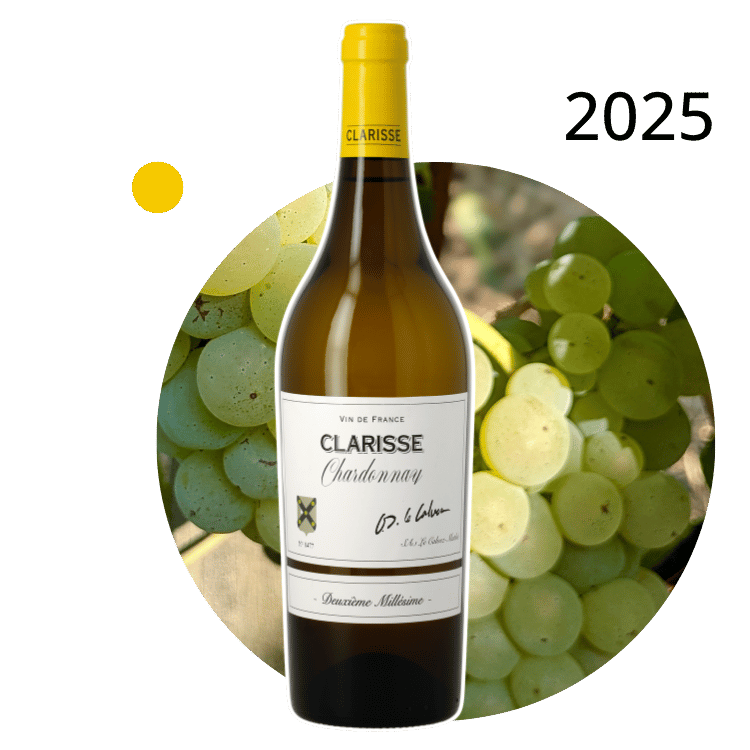 Clarisse, Chardonnay, Vin de France