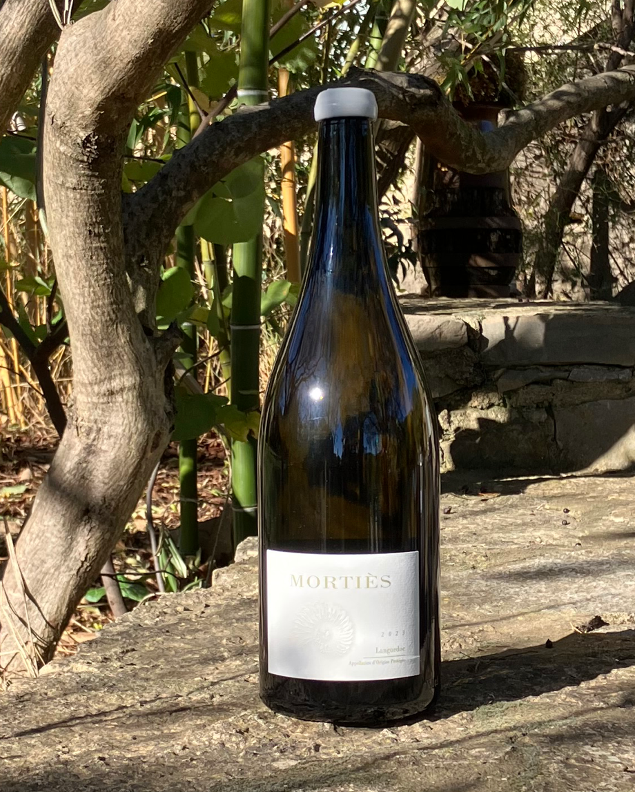 Magnum "Blanc" AOP Languedoc / Blanc