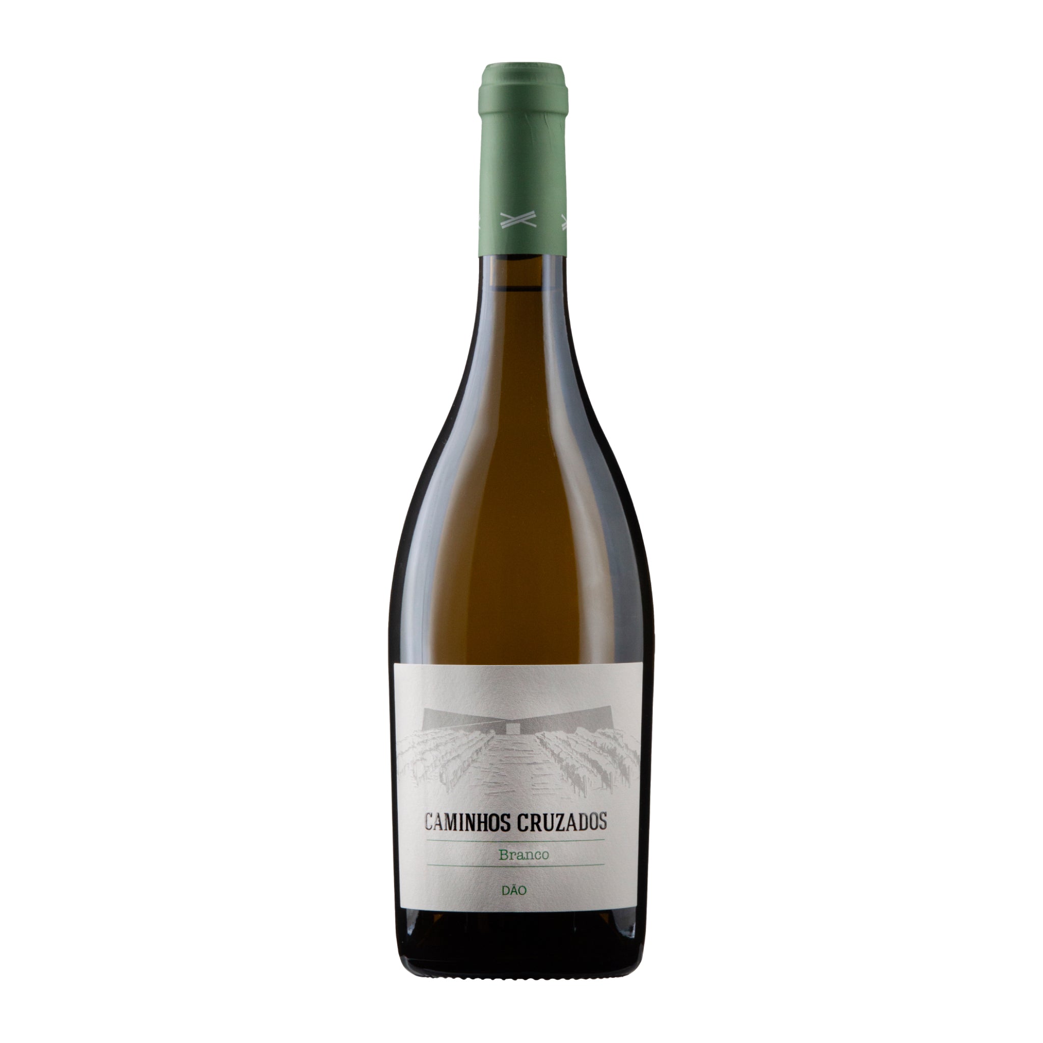 Caminhos Cruzados White 2024