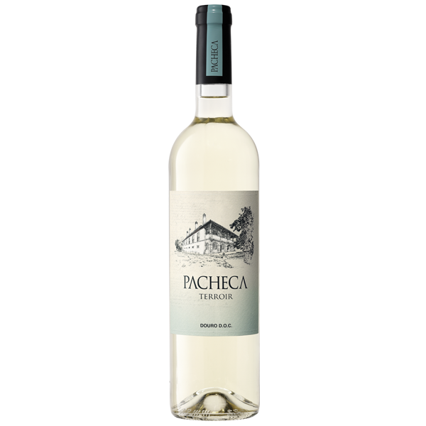 Pacheca Terroir White 2024