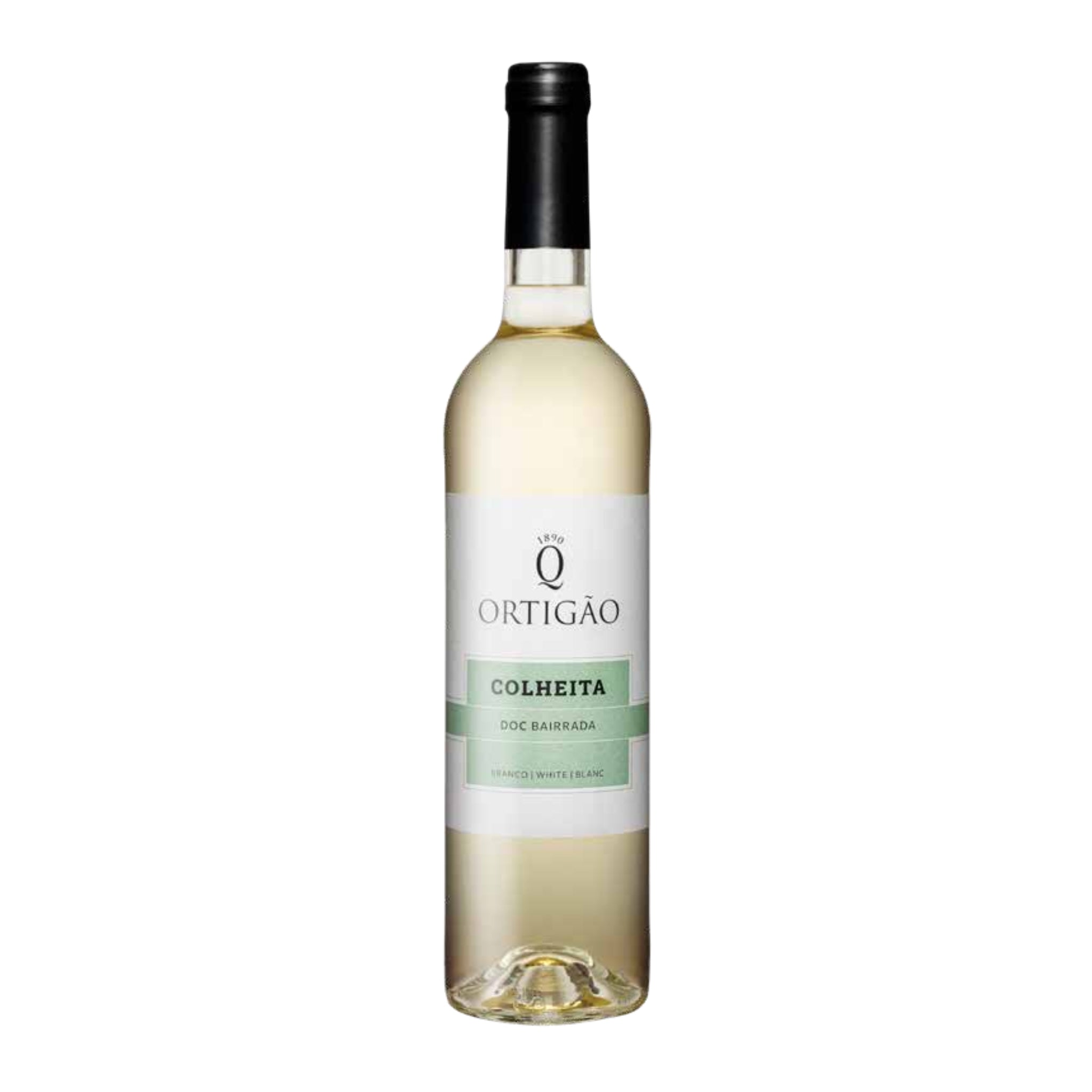 Ortigão Colheita White 2022