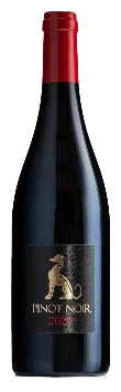 Still Pinot Noir 2020
