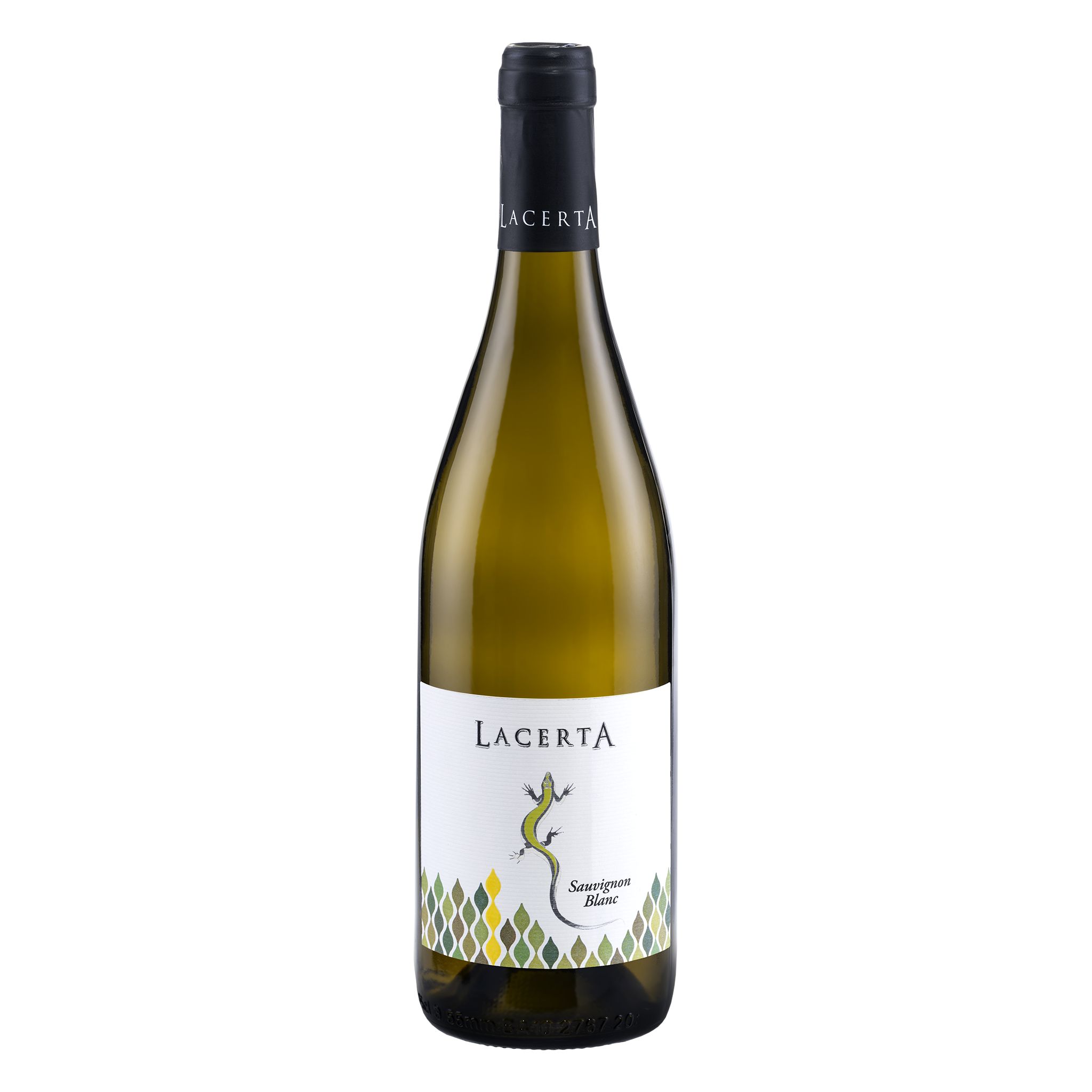 LacertA Sauvignon Blanc