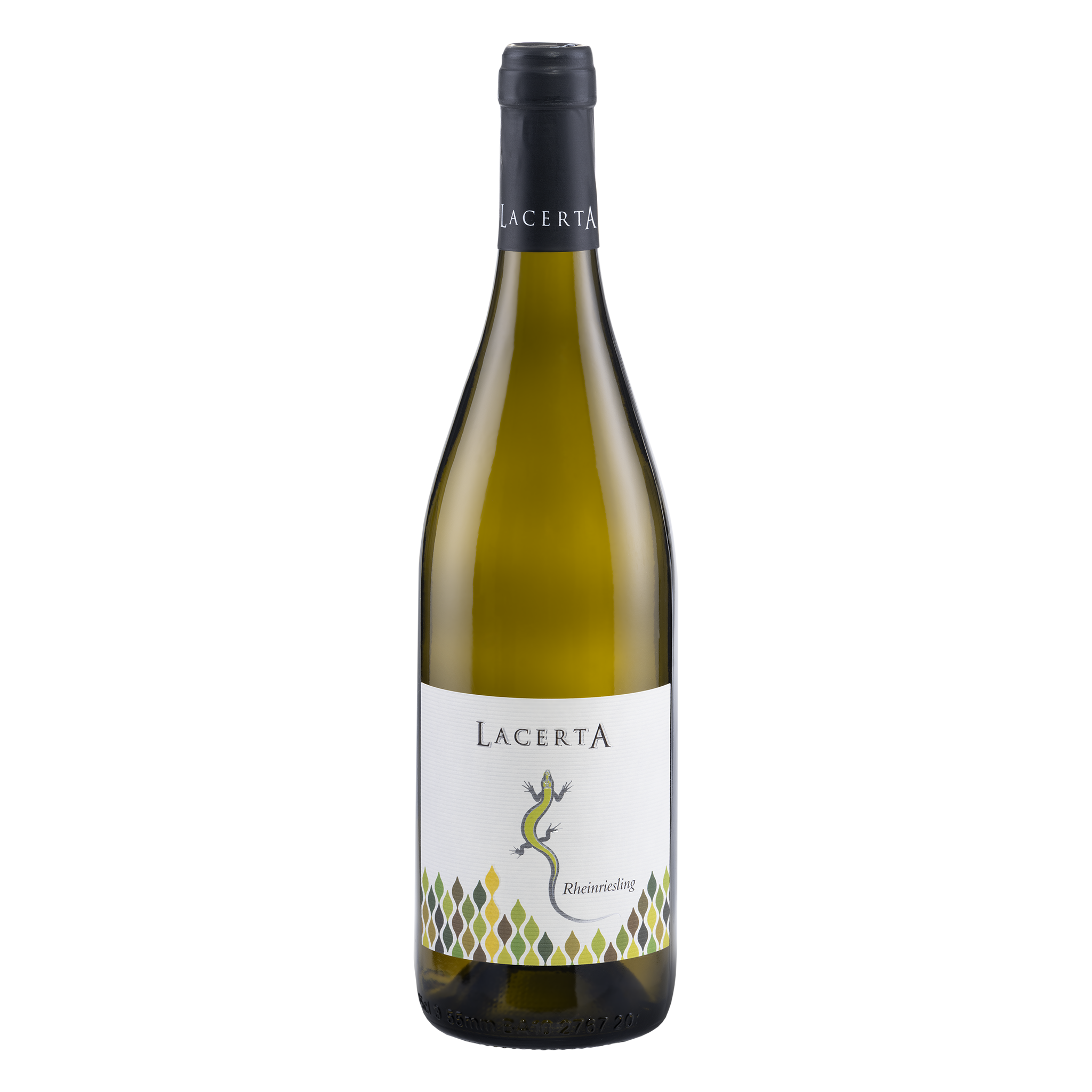 LacertA Rheinriesling