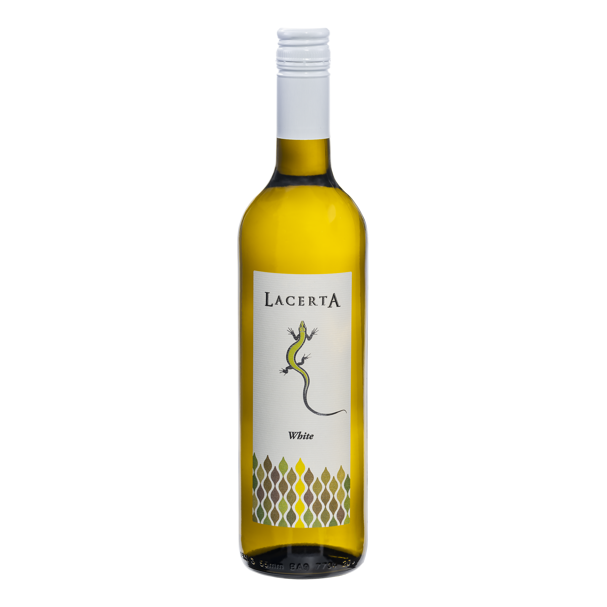 LacertA White