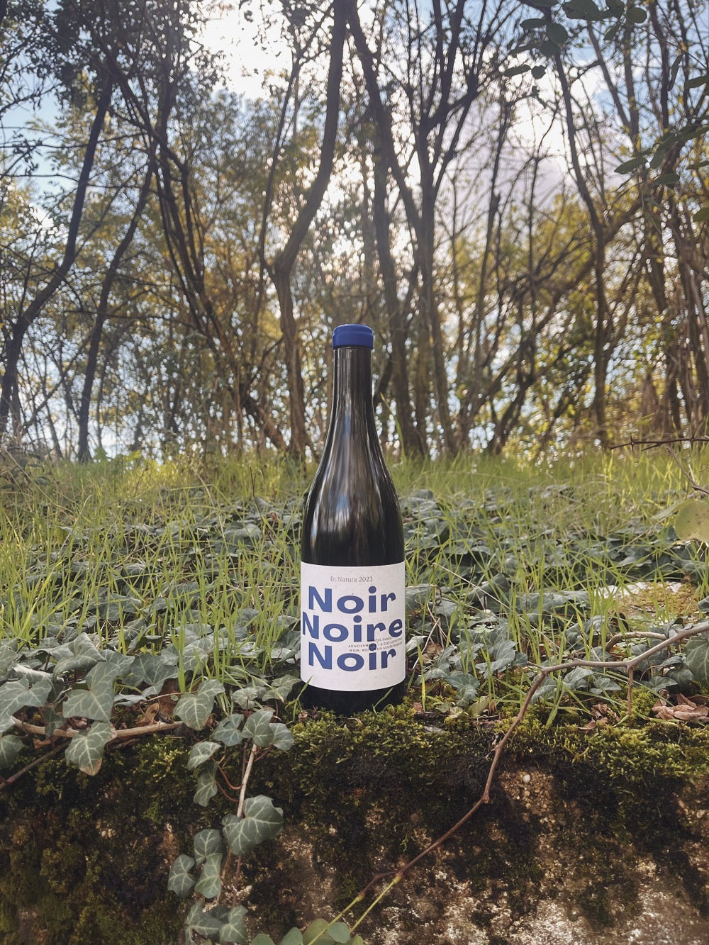 Noir Noire Noir