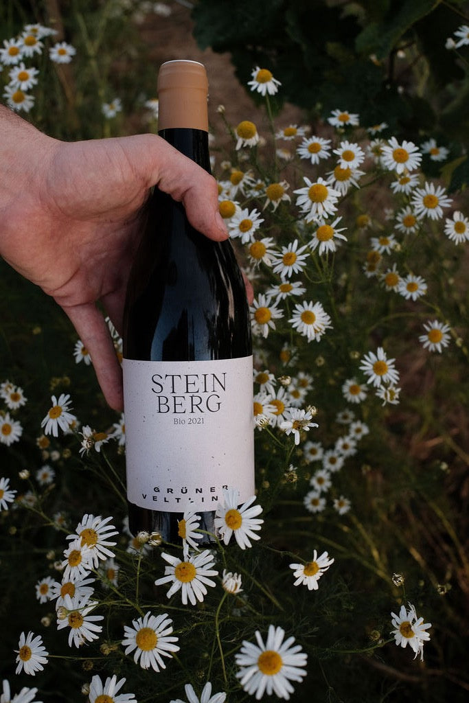 Steinberg