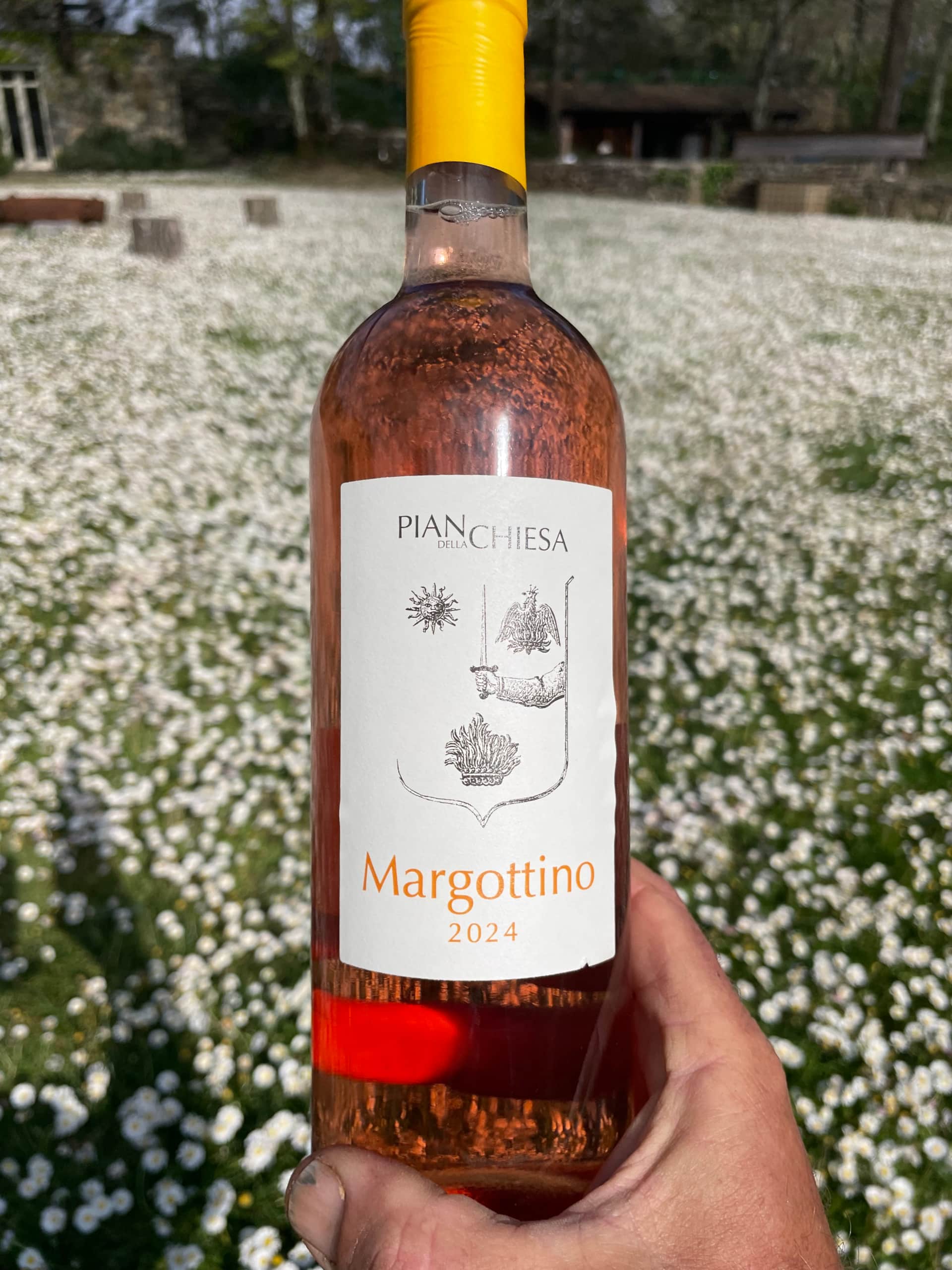 Margottino