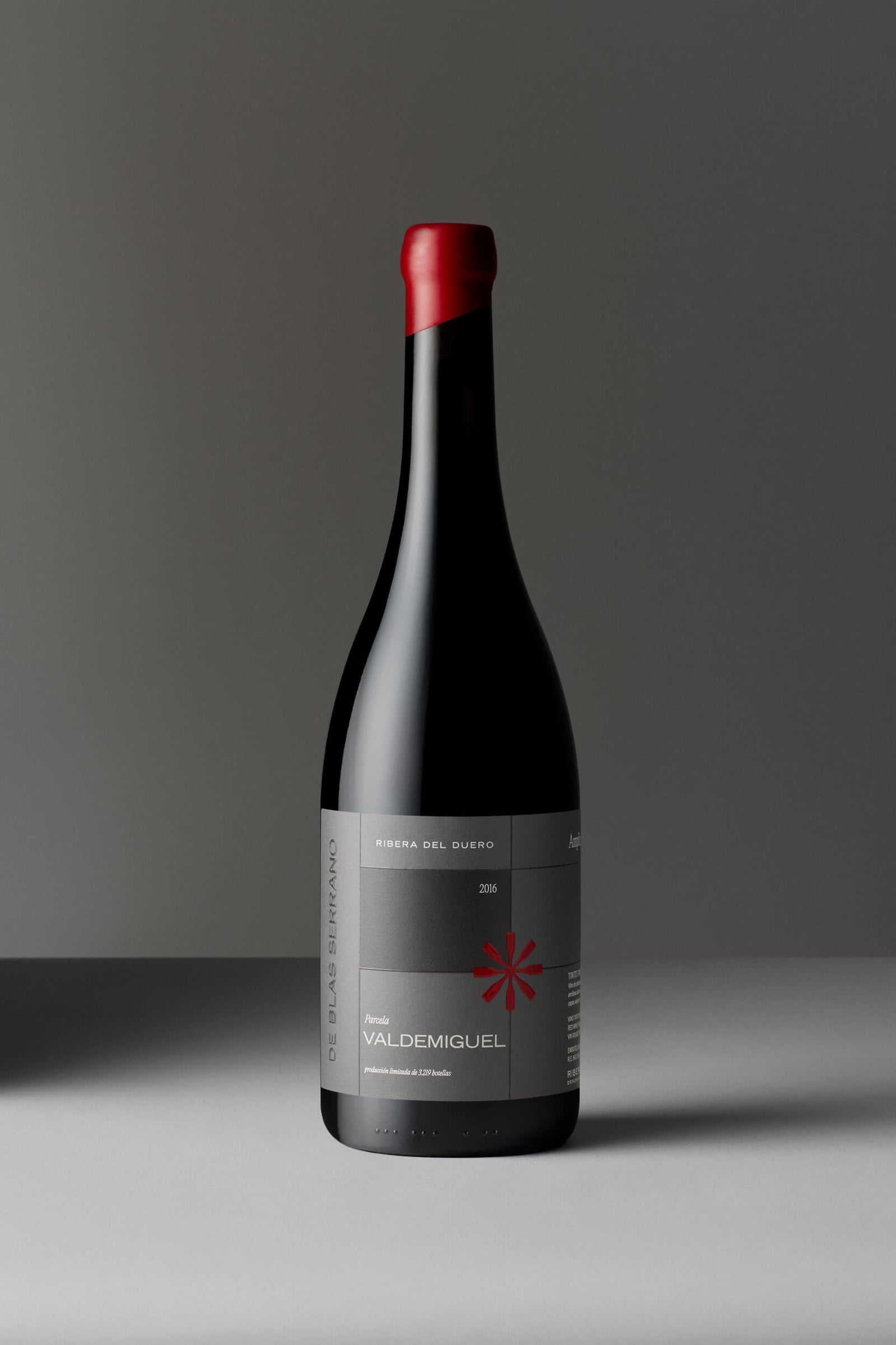 Valdemiguel Parcelario 2016