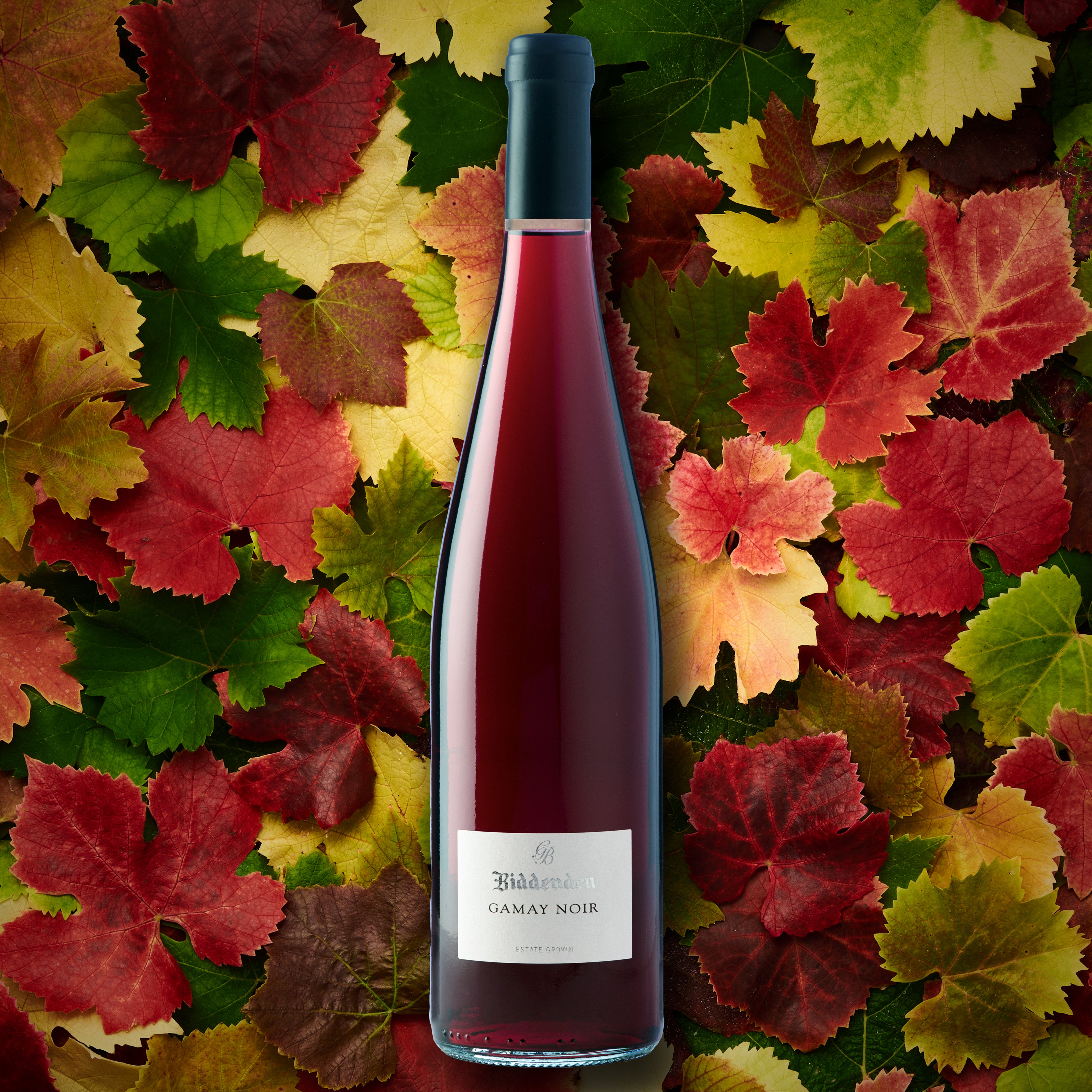 Biddenden Gamay Noir 2025