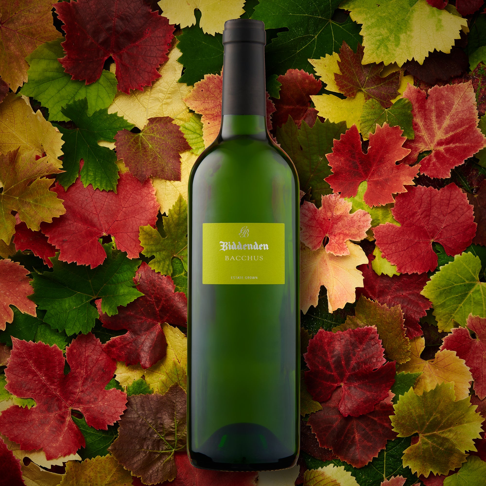 Biddenden Bacchus 2024