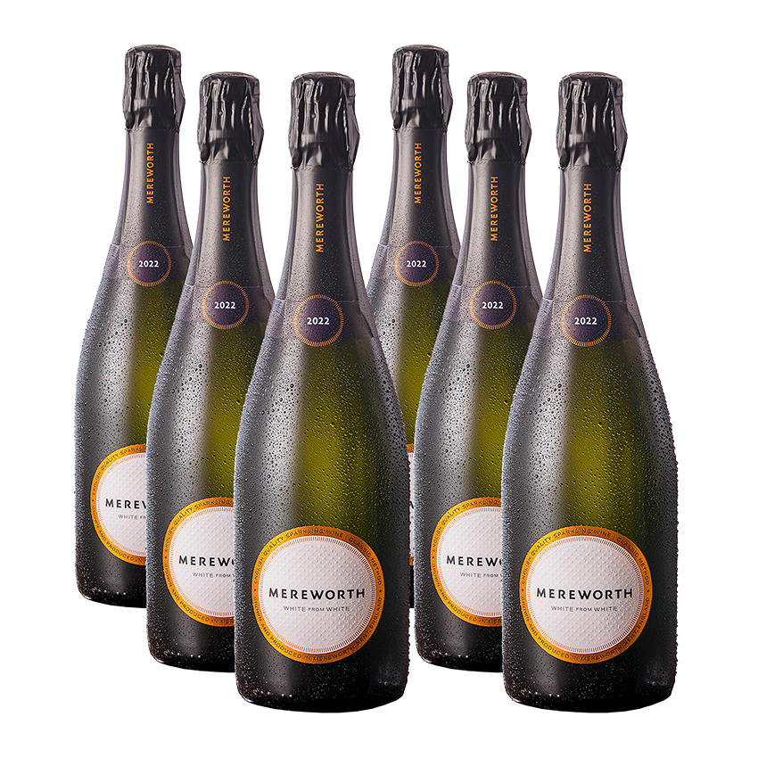 WFW 2022 - 6 Bottle Case