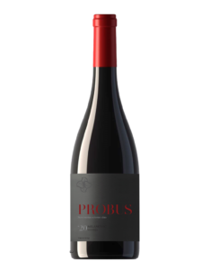 Probus