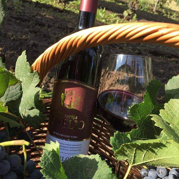 Merlot