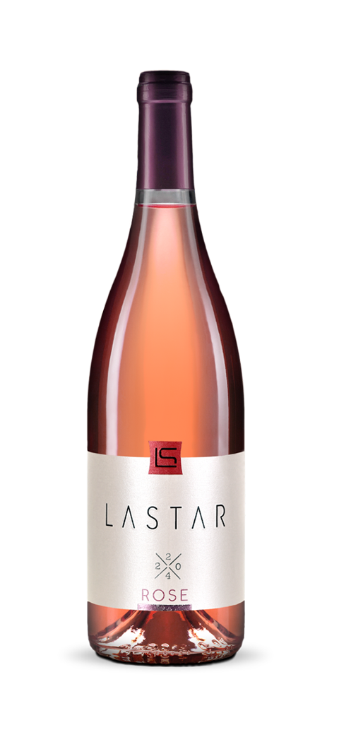 Lastar Rose