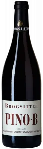Brogsitter PINO·B Cuvée vom Pinot Noir, Cabernet Sauvignon, Regent