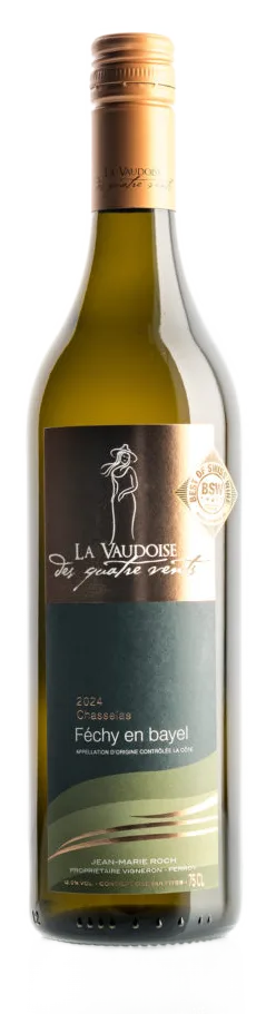 Chasselas Fechy en Bayel